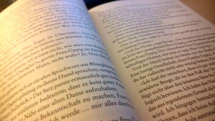 Zur Seite: Texte